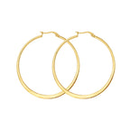 Brinco de Aço Argola IPG 47mm