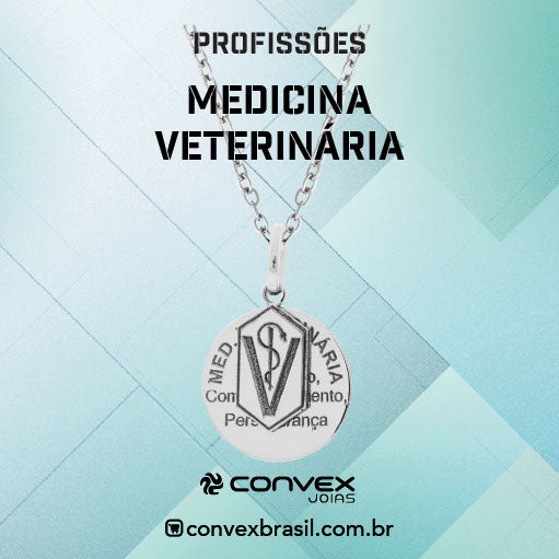 Colar de Aço da Profissão Medicina Veterinária 50cm - foto 2